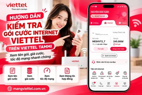 Cách Kiểm Tra Gói Cước Internet Viettel Trên Viettel Tammi